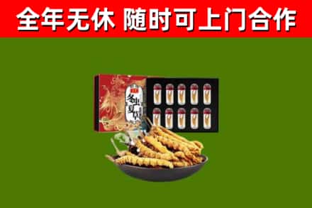 深圳市烟酒回收冬虫夏草礼盒.jpg
