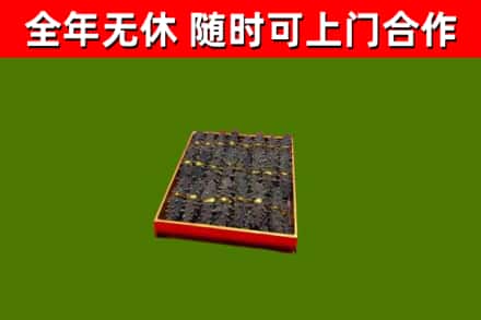 深圳市回收海参